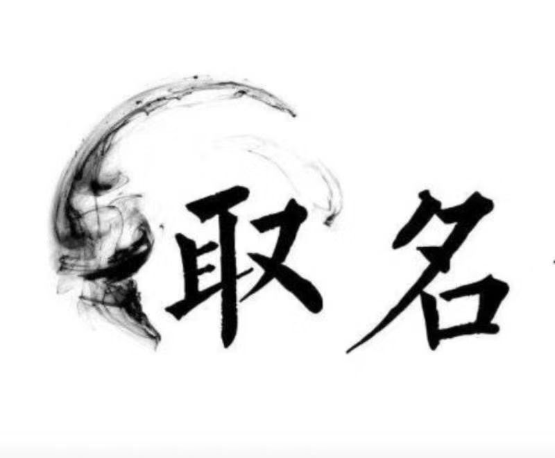  西丰宝宝取名 大师一对一人工起名